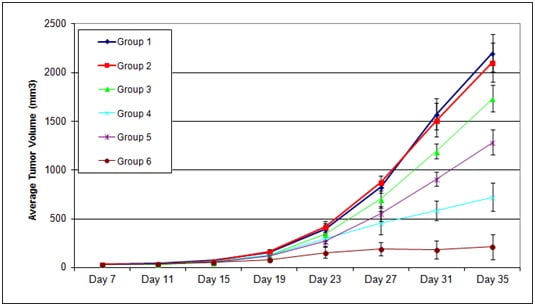 panc1xenograft