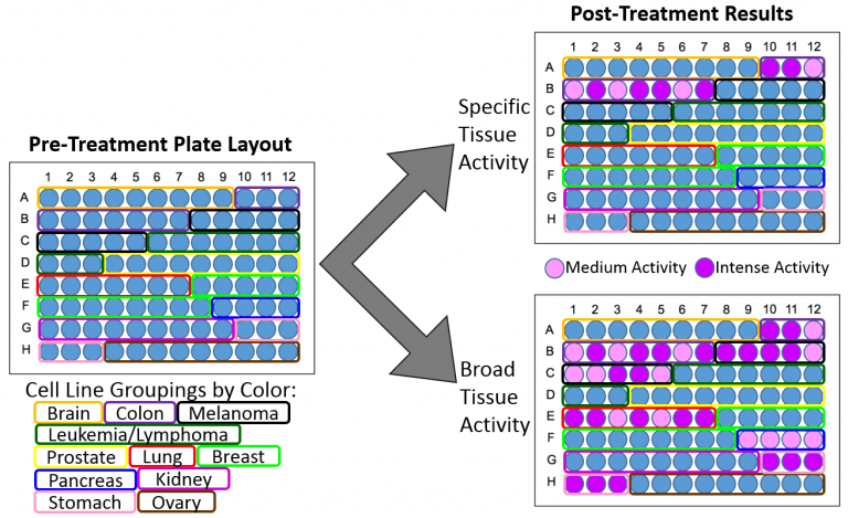 Aortogene Panel NCI-60 Human Tumor Cell Line Screen Service - Altogen Labs
