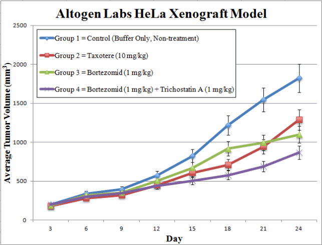 HeLa Xenograft Model | Altogen Labs