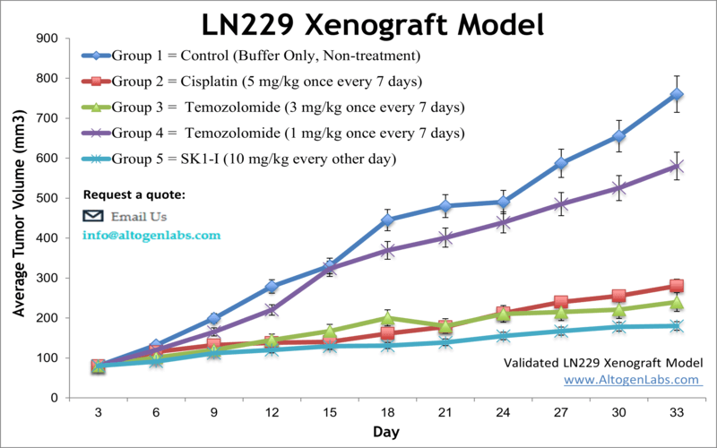 LN229 Xenograft Model | Altogen Labs