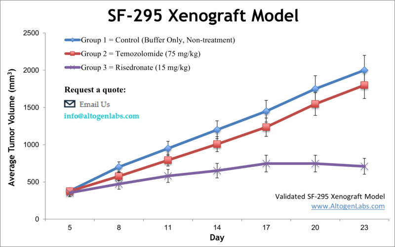 SF295 Xenograft Model