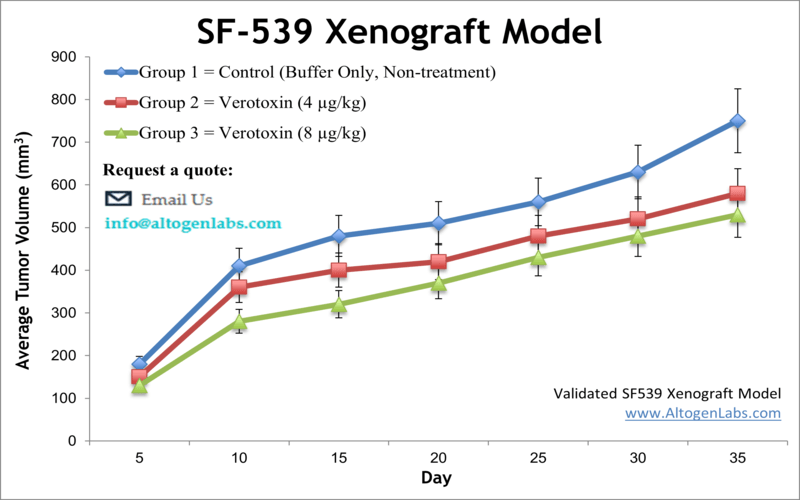 SF539 Xenograft Model