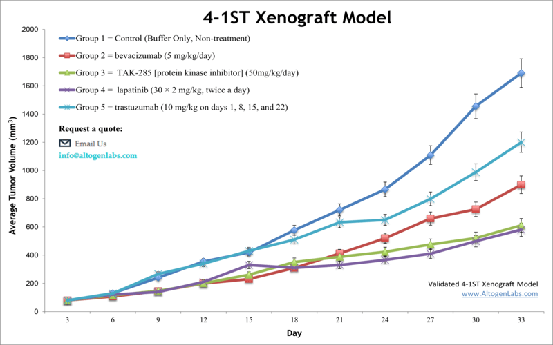4-1ST Xenograft Model | Altogen Labs