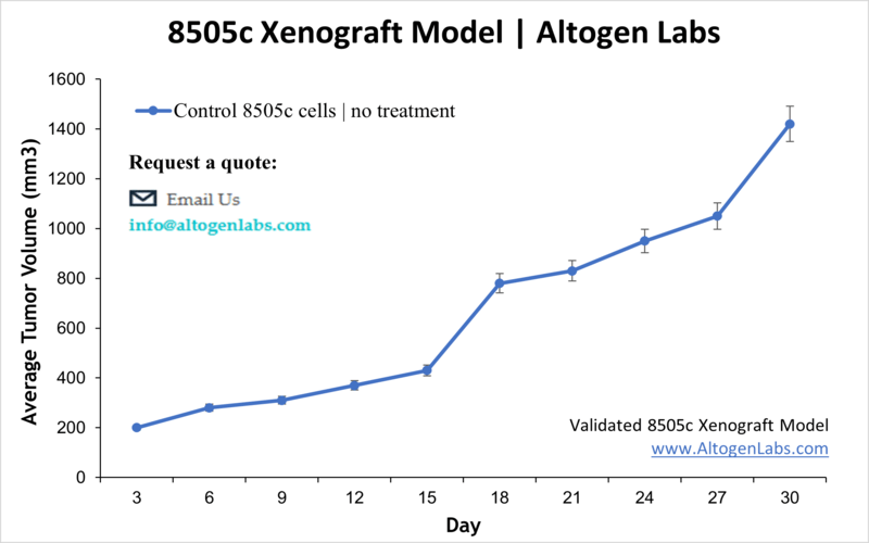 8505C Xenograft Model