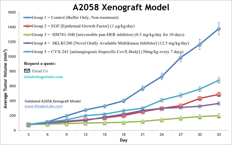 A2058 Xenograft Model