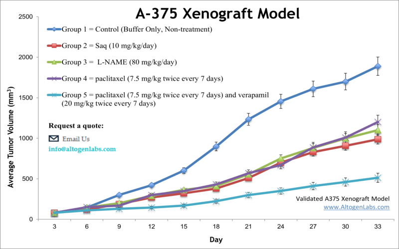 A375 Xenograft Model