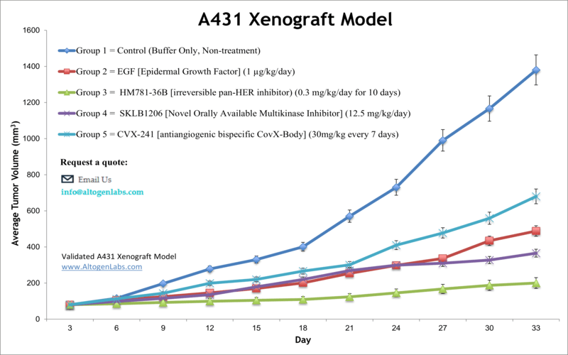 A431 Xenograft Model