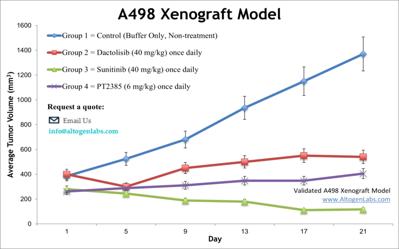 A498 Xenograft Model