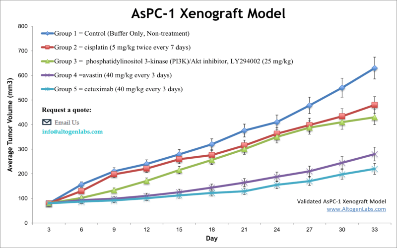 AsPC1 Xenograft Model
