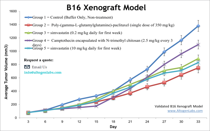 B16 Xenograft Model