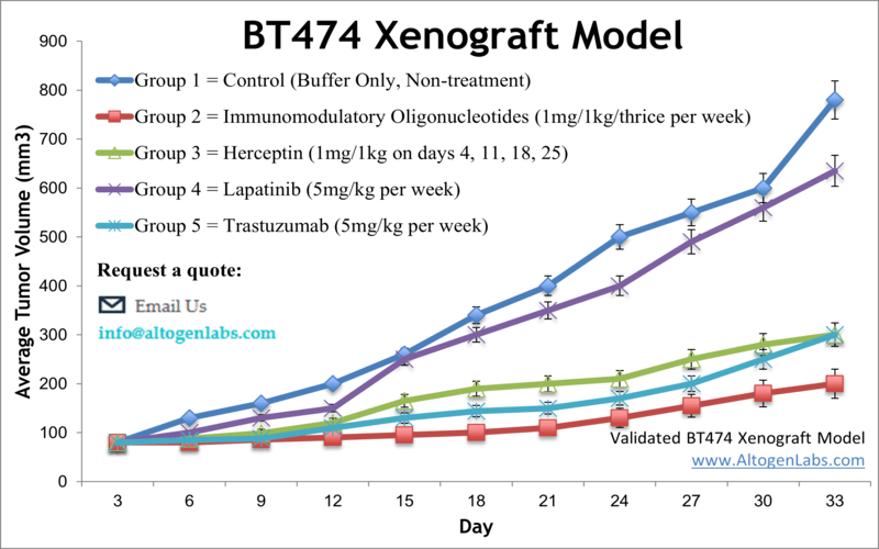 BT474 Xenograft Model