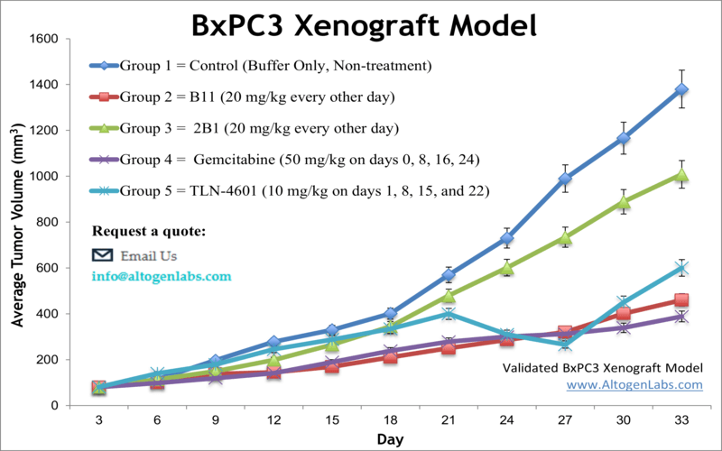 BxPC3 Xenograft Model