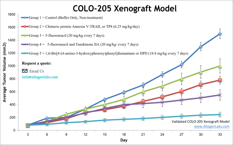 COLO205 Xenograft Model