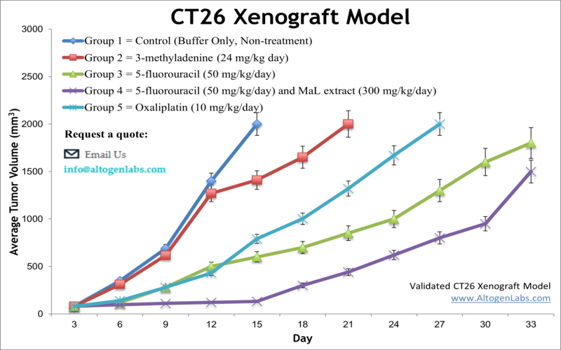 CT26 Xenograft Model