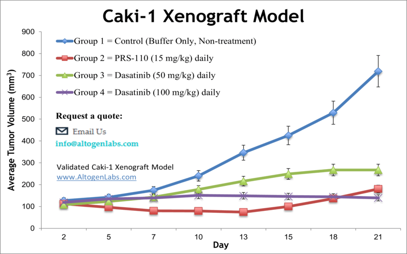 Caki1 Xenograft Model