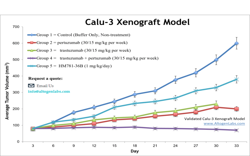 Calu3 Xenograft Model