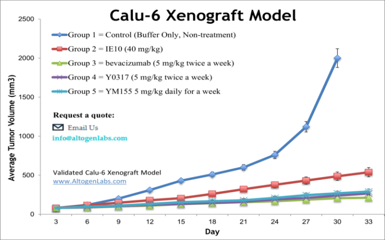 Calu-6 Xenograft Model - Altogen Labs