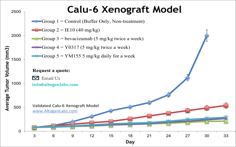 Calu6 Xenograft Model