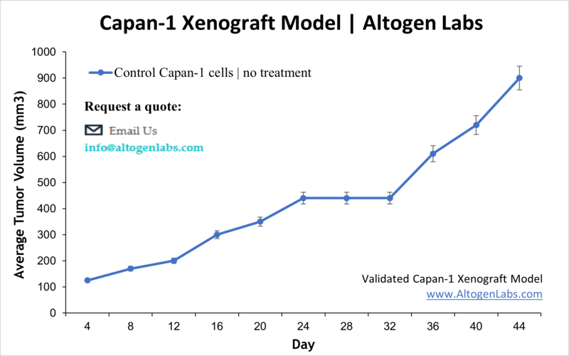 Capan1 Xenograft Model 