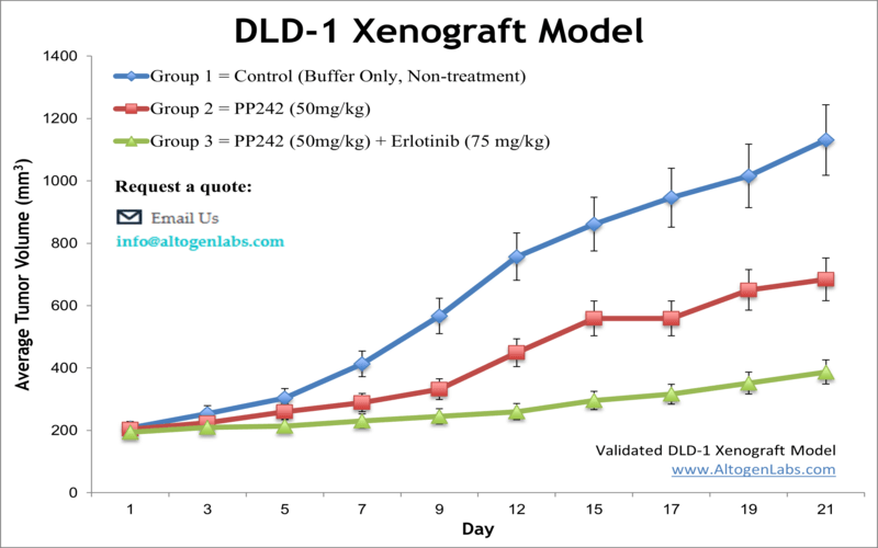 DLD1 Xenograft Model