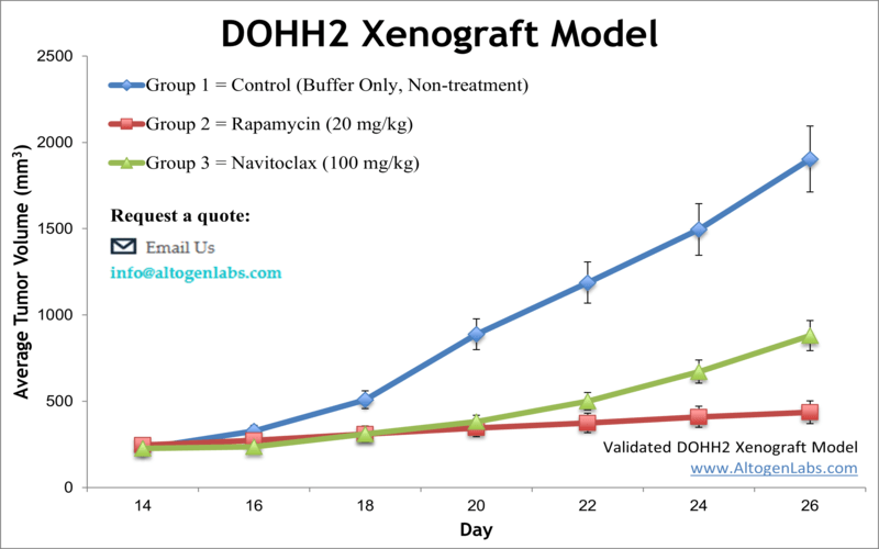 DOHH2 Xenograft Model