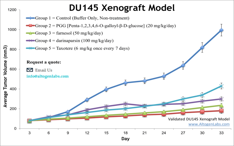 DU145 Xenograft Model