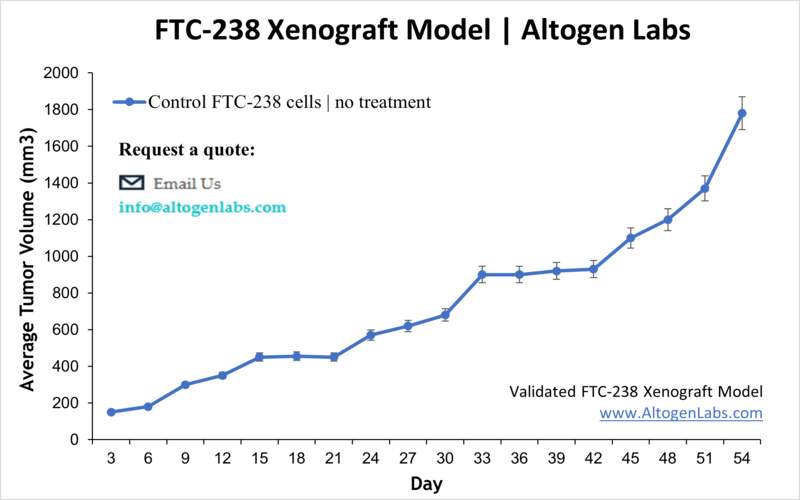 FTC-238 Xenograft Model