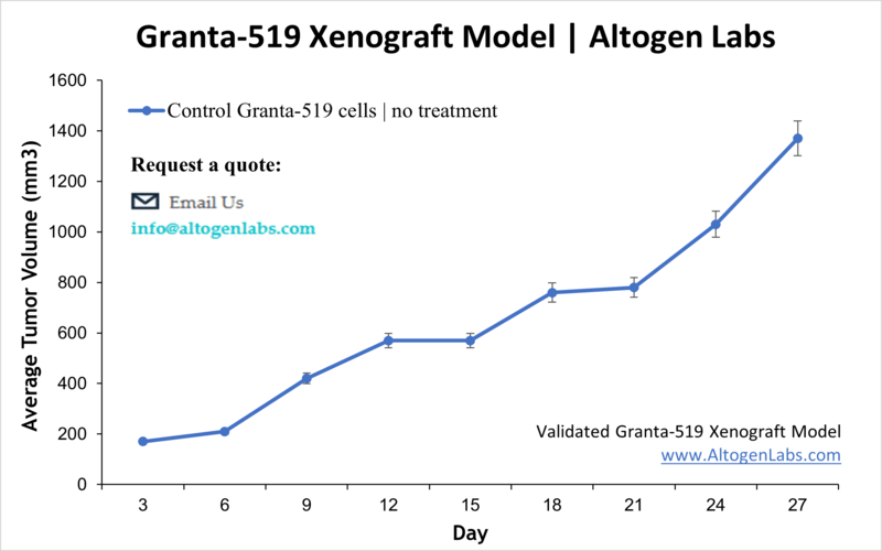 Granta519 Xenograft Model