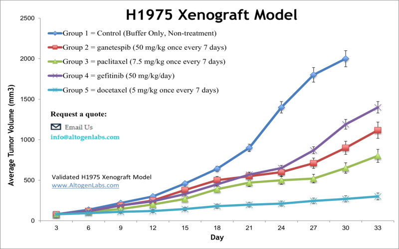 H1975 Xenograft Model