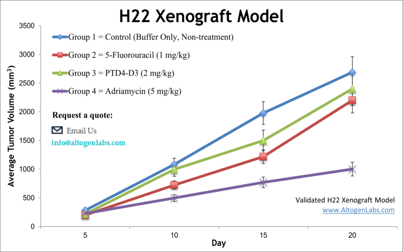 H22 Xenograft Model 