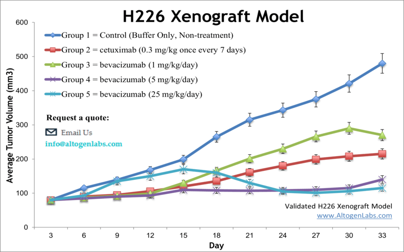 H226 Xenograft Model