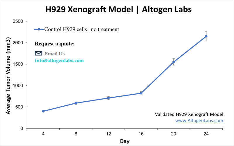 H929 Xenograft Model