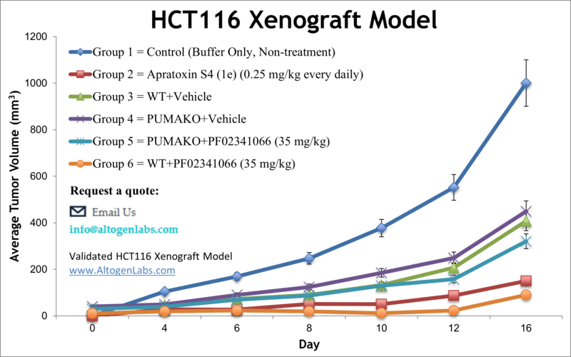 HCT-116 Xenograft Model