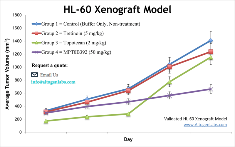  HL60 Xenograft Model