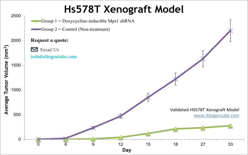 HS578T Xenograft Model