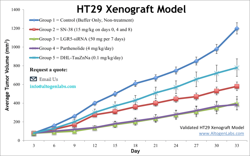 HT-29 Xenograft Model