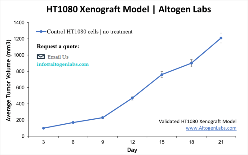 HT1080 Xenograft Model