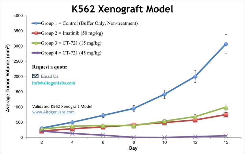 K562 Xenograft Model