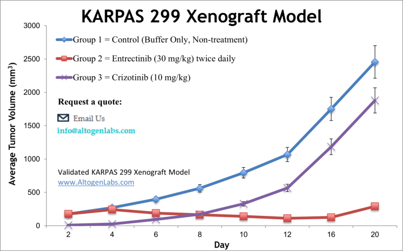 KARPAS299 Xenograft Model