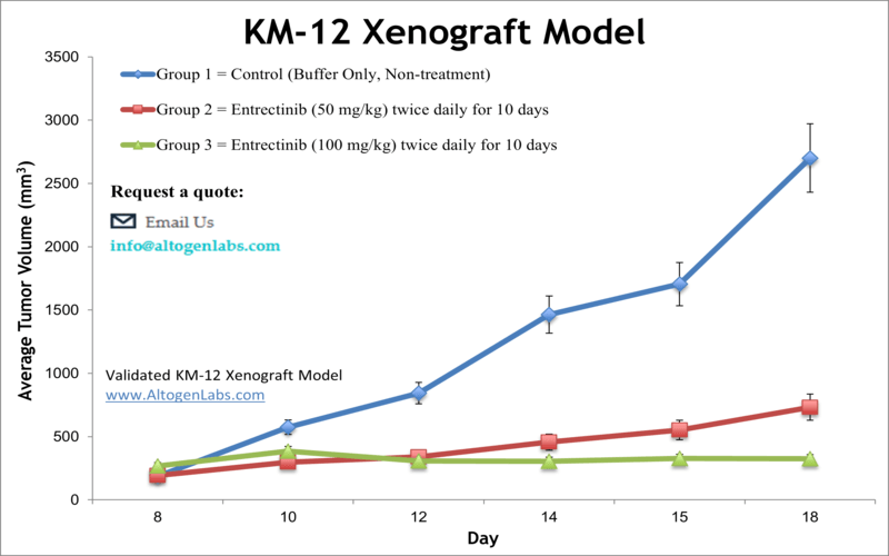 KM12 Xenograft Model | Altogen Labs