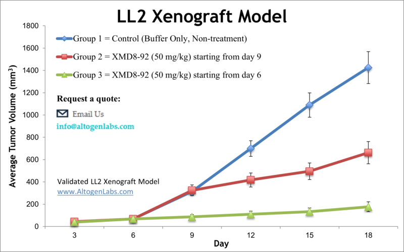 LL2 Xenograft Model