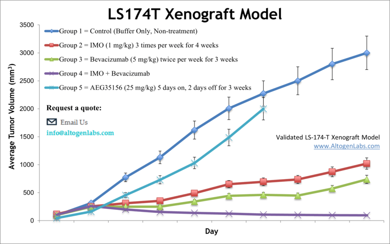 LS174T Xenograft Model