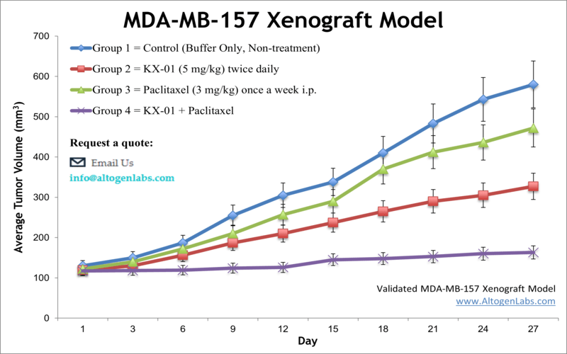 MDA-MB-157 Xenograft Model