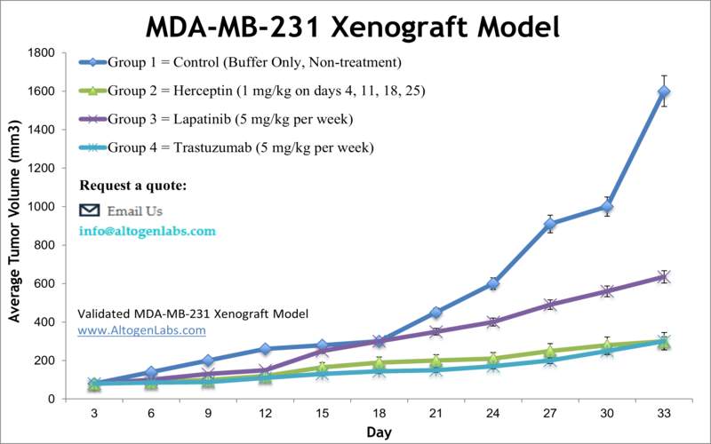 MDAMB231 Xenograft Model | Altogen Labs