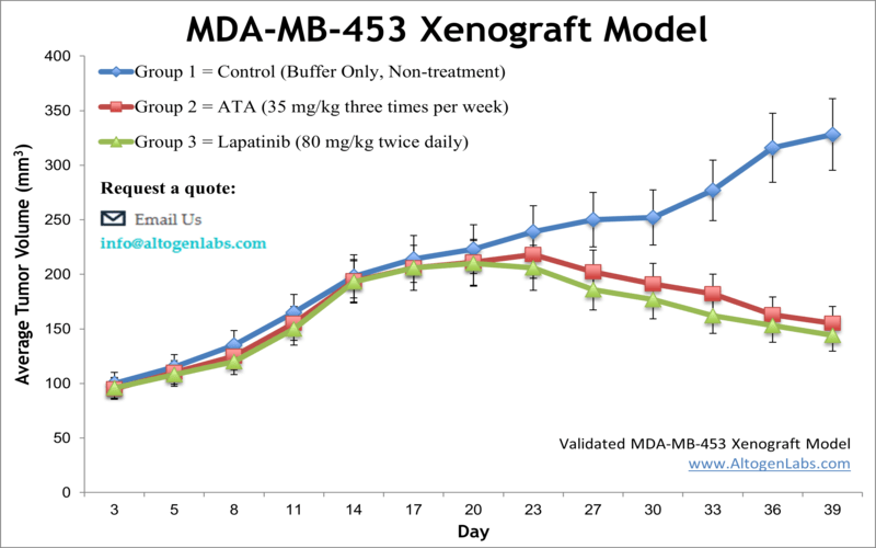 MDA-MB-453 Xenograft Model 
