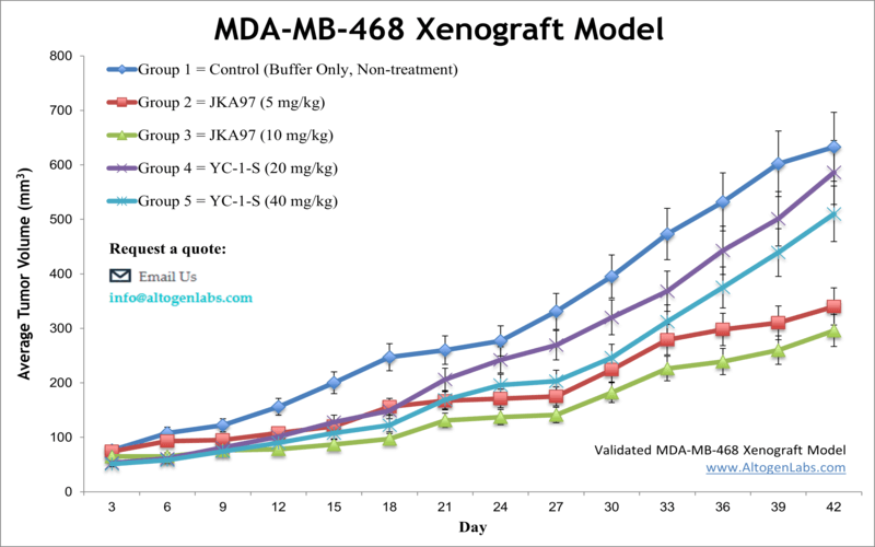 MDA-MB-468 Xenograft Model