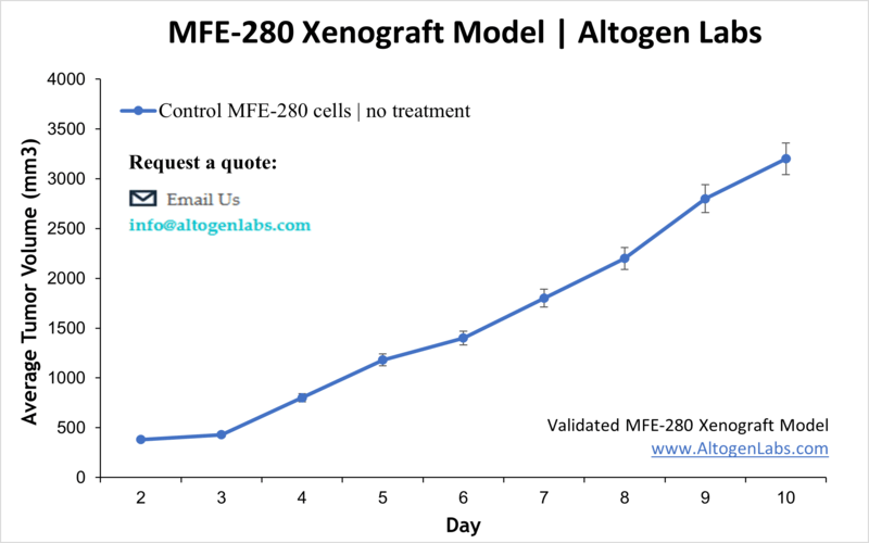 MFE280 Xenograft Model