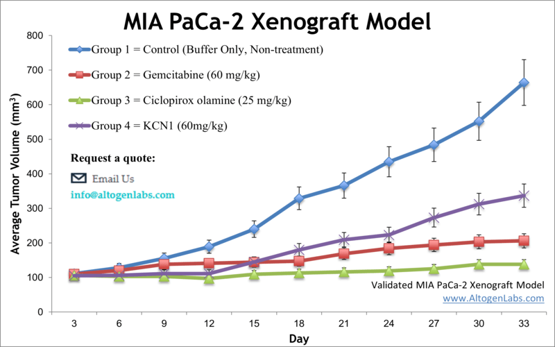 MiaPaCa Xenograft Model