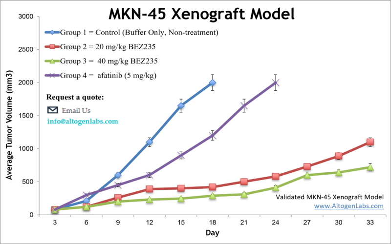 MKN45 Xenograft Model 