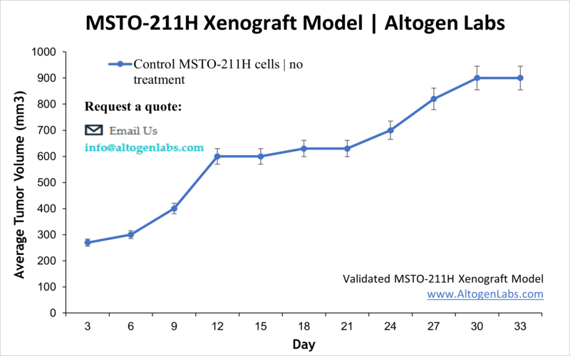 MSTO-211H Xenograft Model